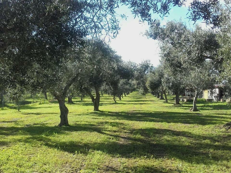 Agriturismo Sa Ruda Càbras Dış mekan fotoğraf