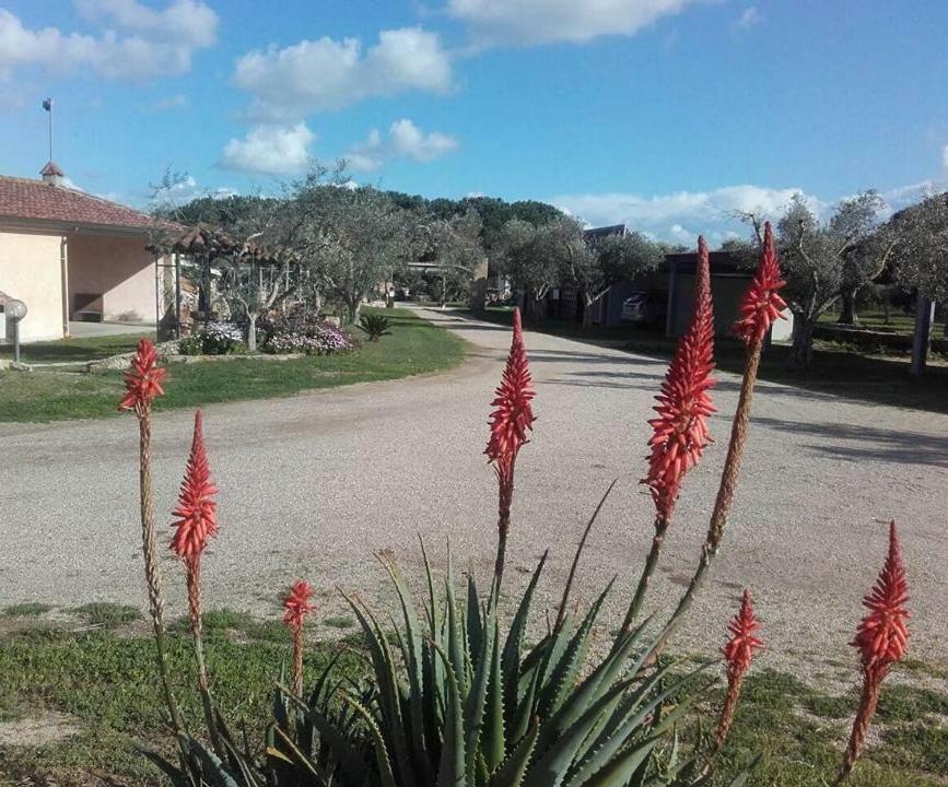 Agriturismo Sa Ruda Càbras Dış mekan fotoğraf